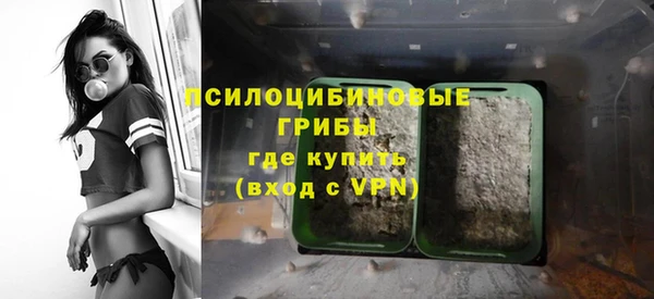 сатива Абдулино