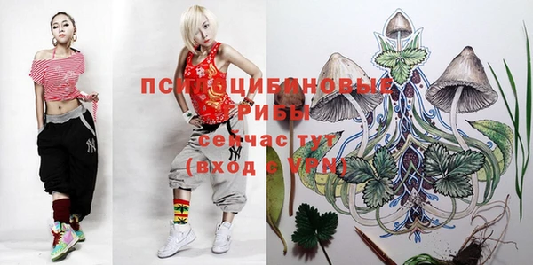 таблы Алексеевка