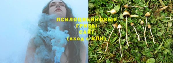 сатива Абдулино