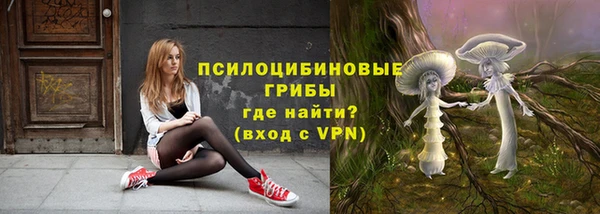 сатива Абдулино