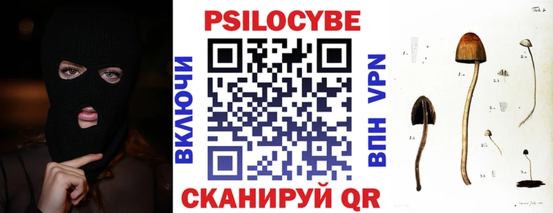 Псилоцибиновые грибы Psilocybe  Темников 
